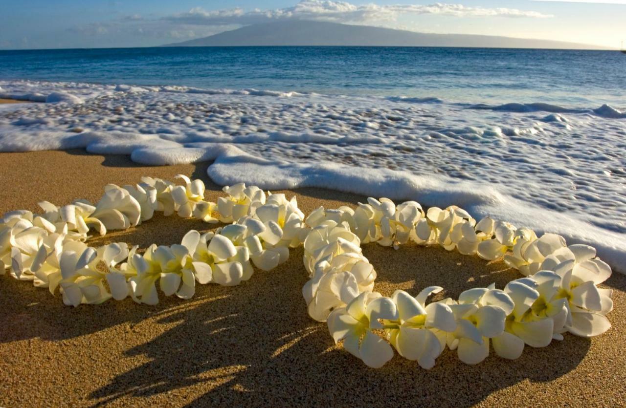 Apartament Beautiful Ocean And Diamond Head Views With Parking Honolulu Zewnętrze zdjęcie