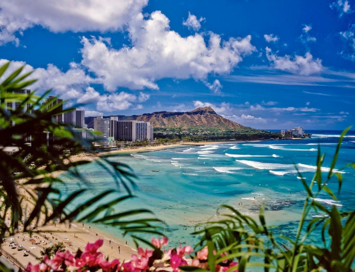 Apartament Beautiful Ocean And Diamond Head Views With Parking Honolulu Zewnętrze zdjęcie